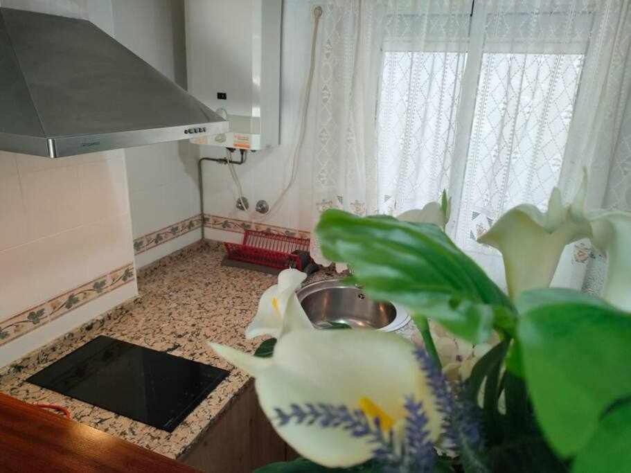 Apartament Casita De La Infanta By Sanlucar Housing Sanlúcar de Barrameda Zewnętrze zdjęcie